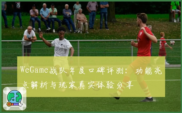 WeGame战队年度口碑评测：功能亮点解析与玩家真实体验分享